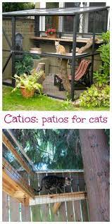 Yes Catios Aka Cat Patios Are A Thing Cat Patio Outdoor Cat Enclosure Cat Playground Outdoor
