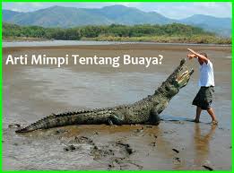 Jika seekor buaya hadir dalam semacam lingkungan yang tertutup, arti mimpi buaya ini bisa menunjukkan jika moms memiliki kontrol diri yang baik dan tidak membiarkan situasi lepas kendali. Terungkap 10 Nomor Arti Mimpi Tentang Buaya Ekor9 Com Ekor9 Com