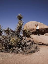 Check spelling or type a new query. What To Do In Joshua Tree National Park Be My Travel Muse
