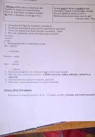 Pădure, pădurice, pădurişte, pădurar, pădurărie, păduratic, pădurean, pădureţ, păduros, împăduri, împădurire, împădurit, reîmpăduri, reîmpădurire, reîmpădurit. En Gros Online 100 Calitate PreÈ›uri Mai Mici Noi 4 Cuv Din Familia Lexicala A Cuvantului Veste Picturacameracopii Ro