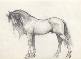 Maybe you would like to learn more about one of these? 35 Trendy Drawing Pencil Horse Google Equine Art Pencil Drawings Animal Drawings Horse Sketch
