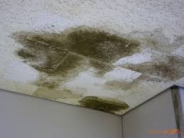 Once repairs to the roof or to plumbing fixtures have been completed, it. Comprehensive Roof Leak Repair Around Asheville Nc