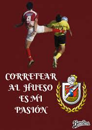 The club was founded 9 december 1955 and plays in the first division of the. Dibujos Los Papayeros Deportes La Serena