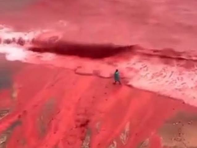 Flowing red blood' in Iran sea sparked biblical plague fears months before  war - The Mirror US