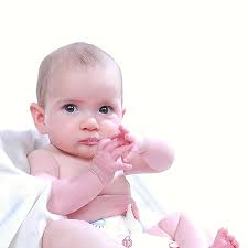 Handbook Of Nature Study: Comstock, Anna Botsford: 9781409227946:  Amazon.com: Books