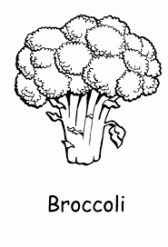 Collection by bethany poston • last updated 9 days ago. Broccoli Coloring Pages Best Coloring Pages For Kids