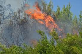 Maybe you would like to learn more about one of these? Antalya Da Orman Yangini 15 Dekar Alan Yandi