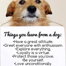 Portail des communes de france : Dog Clinic At Royal Tower Shipra Suncity Indirapuram Gzb Rtb 110 Royal Tower Indirapuram Ghaziabad 2021