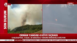 Jul 16, 2021 · son dakika haberler: Adana Da Orman Yangini Iste Son Gelismeler Video Videosunu Izle Son Dakika Haberleri