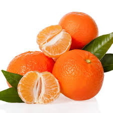 Image result for clementina trees