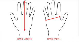How do you determine the size of a glove? How To Measure Hand For Gloves Everprogloves