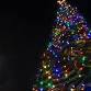 Annual Hospice of San Joaquin Tree of Lights Lighting Ceremony