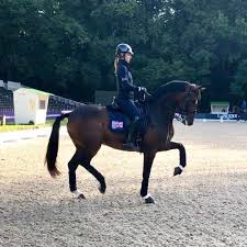 Lateral thinking with charlotte dujardin. Very Happy With The Training Session Charlotte Dujardin Facebook