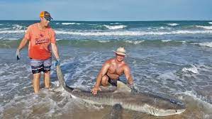 Maybe you would like to learn more about one of these? This South Texas Family Has A Heck Of A Shark Tale From Padre Island