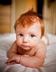 Nichole Fox (nicfox)