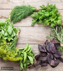 من المعلوم أنه بعد البلوغ يقل إفراز هرمون النمو (بالإنجليزية:growth hormone) ، مما يقلل فرصة زيادة الوزن عند سن معين. Ø§Ù„Ù…Ø¨Ø§Ù„ØºØ© Ù…ØµØ·Ø¨Ø© Ø§Ù„Ø¨Ø´Ø¹ Ø§Ø¹Ø´Ø§Ø¨ Ù„Ø²ÙŠØ§Ø¯Ø© Ø§Ù„Ø·ÙˆÙ„ Ø¨Ø¹Ø¯ Ø§Ù„Ø¨Ù„ÙˆØº Borsenumero22 Net