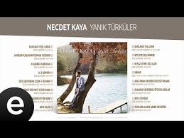 Bahcada Yesil Cinar Necdet Kaya Official Audio Bahcadayesilcinar Necdetkaya Esen Muzik Youtube Muzik Yesil Beste