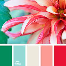 Color Palette 3416 Color Palette Pink Coral Colour Palette Color Schemes Colour Palettes