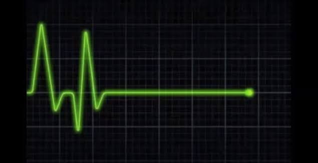 Death reconsidered - Scienceline