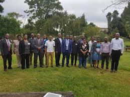 Image result for Habenaria rhopalostigma