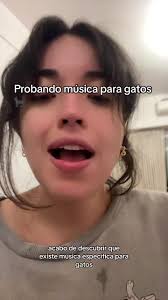 por ahora reacciones confusas, ampliaremos ✨ #gatos #gatostiktok #musica  #musicagatos #mascotastiktok #cats #catsoftiktok