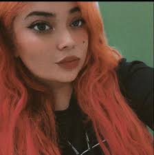 State Farm insurance rate increase for new car