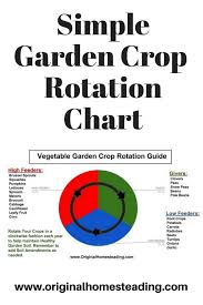 Vegetable Garden Crop Rotation Homesteading Vegetable