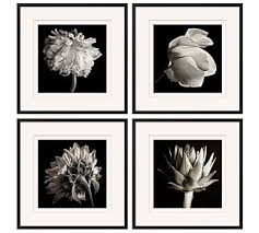 Get it as soon as mon, mar 1. Flower Black White Framed Print Pottery Barn