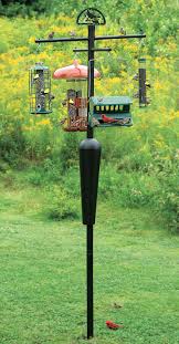 Bird Feeder Pole System Duncraft Com Best Selling Squirrel Proof Squirrel Stopper System Pole Bird Feeder Station Hanging Bird Feeders Squirrel Proof Bird Feeders