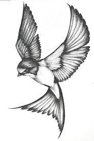 See more ideas about swallow bird tattoos, birds tattoo, swallow tattoo. Swallow Tattoo Meaning Google Search Swallow Tattoo Design Tattoo Design Drawings Swallow Tattoo