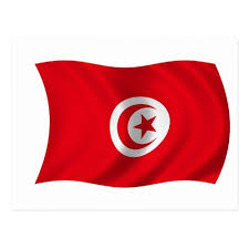 The weather in tunisia is not too cold or too hot in the spring, and the best option for spending leisure time is along the beautiful beaches of tunisia. Flag Of Tunisia Postcard Zazzle Com Flag Tunisia Postcard