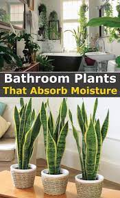 pin on horticulture