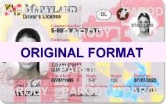 The card has your name, where you live and your age. Maryland Fake Id Drivers License Scannable Maryland Driver License