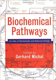 Biochemical Pathways An Atlas Of Biochemistry And Molecular