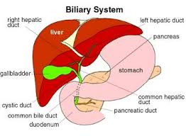 Maybe you would like to learn more about one of these? Can Liver Problems Cause Leg Pain