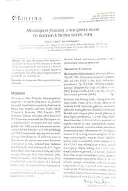 Image result for Microstegium fasciculatum