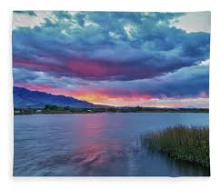 Image result for Pink 1972 Roper