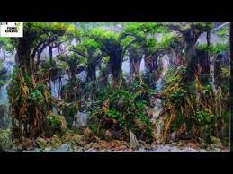 126 Cara Membuat Aquascape Tema Hutan Keren Belantaran Kali Kreo Youtube Hutan