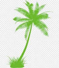 Kami menyediakan lidi kelapa yang siap menyuplai kebutuhan anda. Arecaceae Drawing Tree Hitam Dan Putih Kelapa Hijau Yang Dicat Lukisan Cat Air Daun Fotografi Png Pngwing