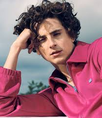 Call Me with Timothée Chalamet