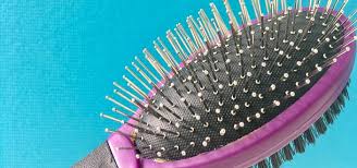 Best dog brush for long hair | top dog brushes in this video we talk about the best brush for long haired dogs that we recently discovered. Which Dog Brush Do You Need Pet Circle