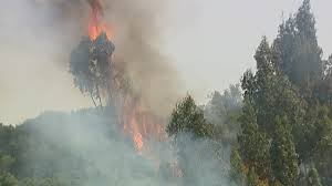 Um incêndio em frielas, no concelho de loures (lisboa) condicionou as aterragens de 12 aeronaves no aeroporto humberto delgado. Sic Noticias Incendio Em Loures Mobilizou Mais De 200 Bombeiros
