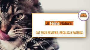 Petful has been researching u.s. Feline Natural Cat Kitten Food Coupons Review Recalls 2021