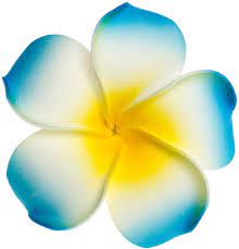 Tiki Plumeria Flower Blue Keep Your Look Pinup Perfect The Blue Foam Tiki Plumeria Flower Is Attached Securely To A Plumeria Tattoo Plumeria Plumeria Flowers