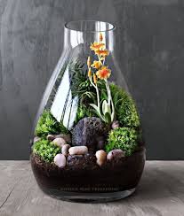 Terrarium Decoration Ideas 64 Terrarium Decor Beautiful Terrariums Terrarium Gifts