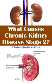 Pin On Kidney Disease Symptoms