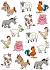 Cute Farm Animals Cartoon