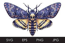 Around the world and throughout history, death's head hawkmoths have been thought of as an evil omen and harbinger of doom. Death S Head Hawk Moth Svg Png 953754 Illustrations Design Bundles
