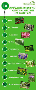 Giftpflanzen im garten sind ein sicherheitsrisiko. Die 10 Gefahrlichsten Giftpflanzen Im Garten Giftpflanzen Pflanzen Giftige Pflanzen