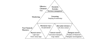 Though ipm was developed first for the agricultural industry, many museums, archives and libraries are finding ipm principles relevant to the protection of their holdings. Principles Of Integrated Pest Management Ipm Based On Wu Et Al Download Scientific Diagram